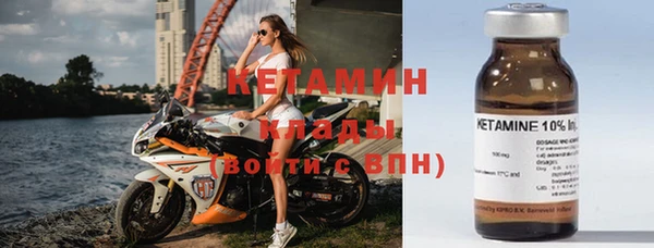 шишки Белоозёрский