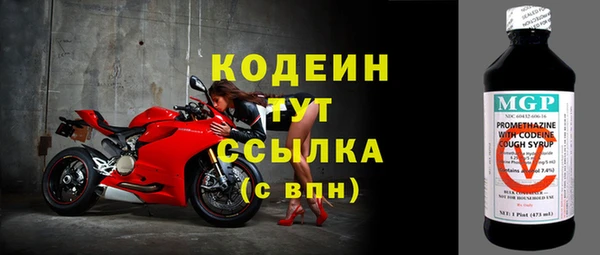 шишки Белоозёрский