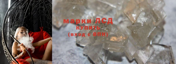шишки Белоозёрский