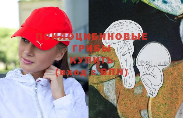 мяу мяу мука Беломорск