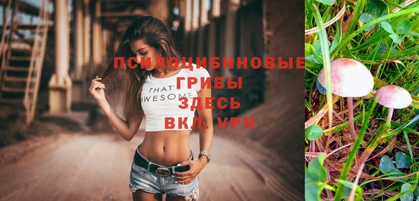 шишки Белоозёрский