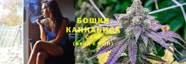 шишки Белоозёрский