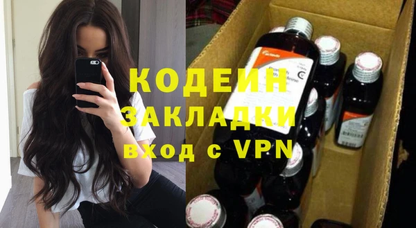 шишки Белоозёрский