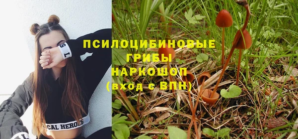шишки Белоозёрский