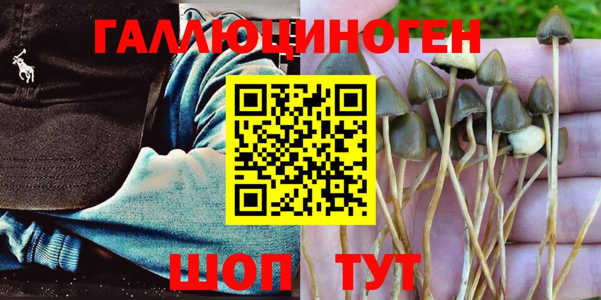 Горно-Алтайск  Галлюциногенные грибы мухоморы  Вход с VPN  Псилоцибиновые грибы Magic Shrooms 