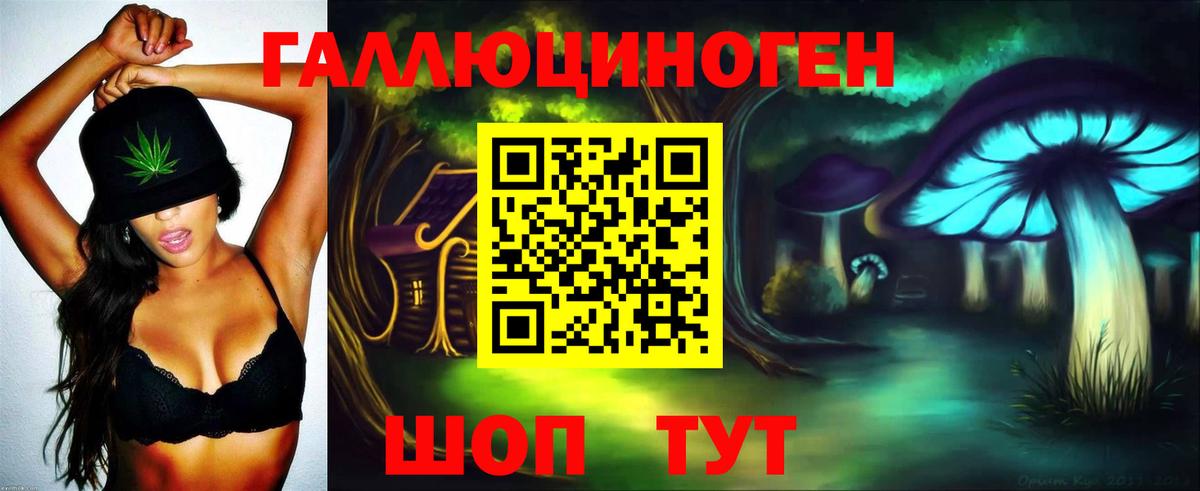 Псилоцибиновые грибы MAGIC MUSHROOMS Горно-Алтайск