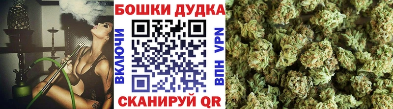 Бошки Шишки MAZAR  Горно-Алтайск 