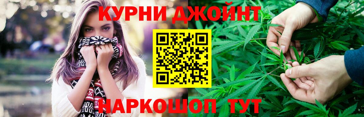Каннабис планчик Горно-Алтайск